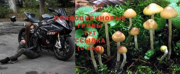 спайс Алексеевка