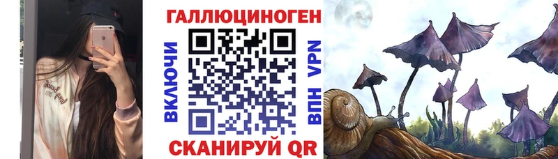 Галлюциногенные грибы Cubensis магазин продажи Шахты