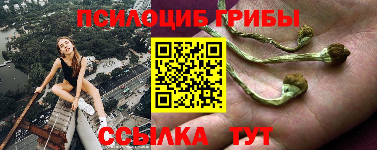 Шахты  Псилоцибиновые грибы MAGIC MUSHROOMS  Вход с VPN 